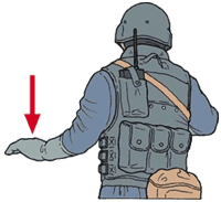 Стандартизированные сигналы руками для ближнего боя